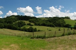 Gîte Arsoritz Borda à Saint Jean le Vieux (Pays basque)