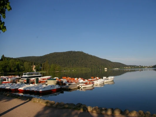 Lac situé à 300m à pied du gîte - baignade, école de voiles, pédalos, sports nautiques
