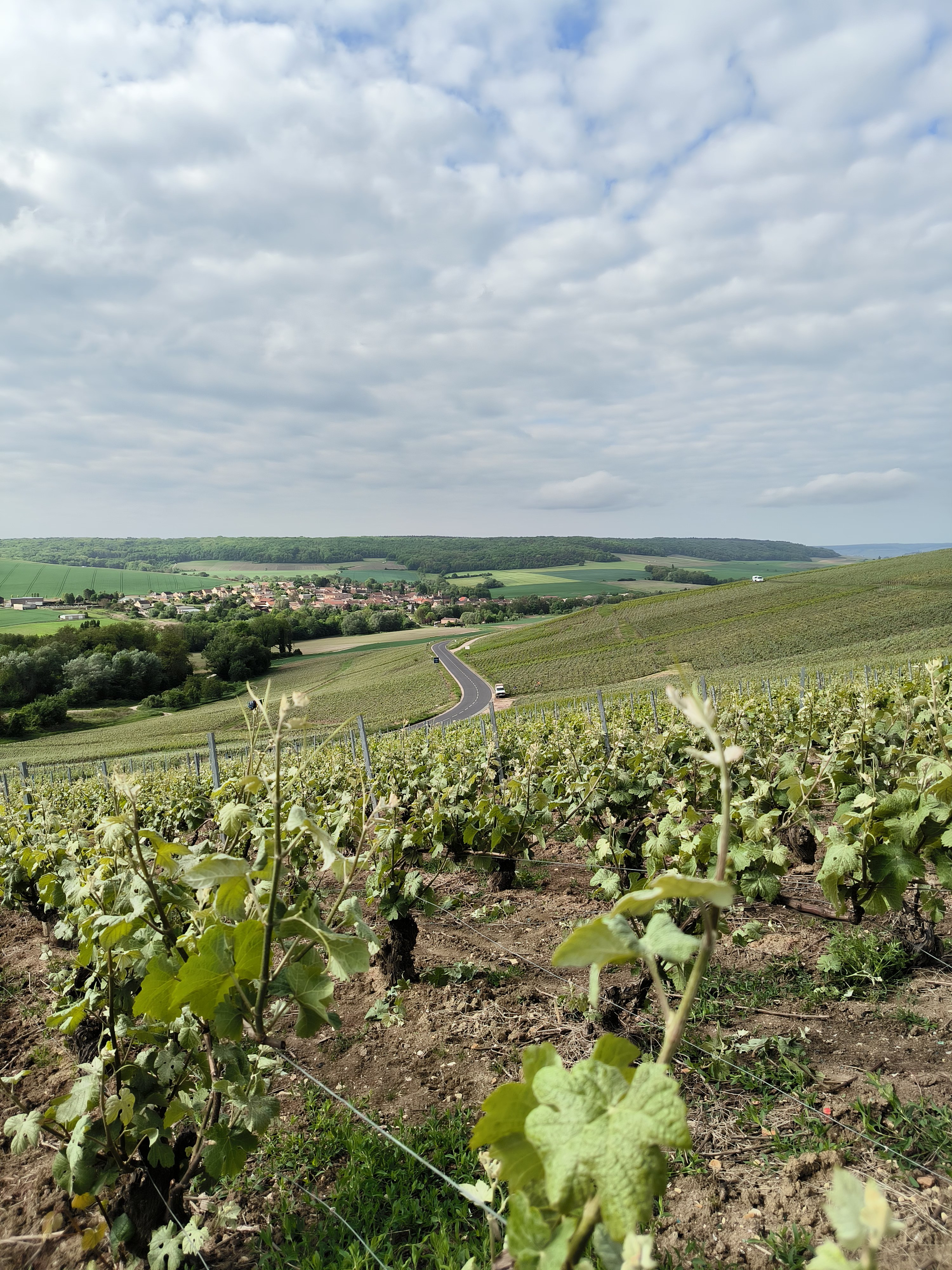 Photo n° 19 de la location