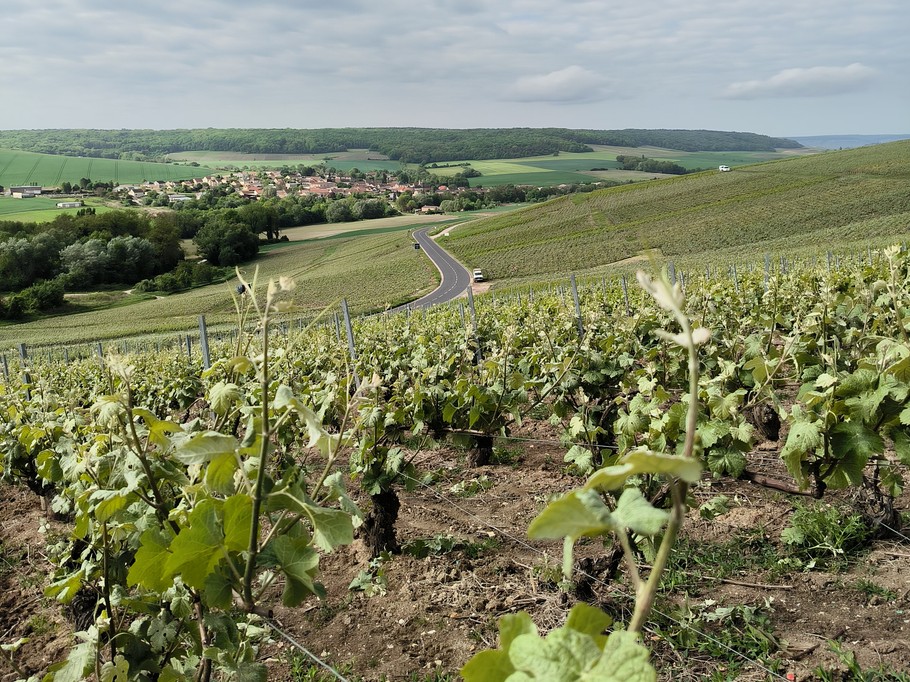 Photo n° 19 de la location