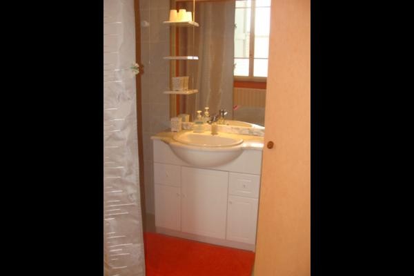 Chambre d'hôtes avec sa salle d'eau - Lisle sur Tarn - Tarn