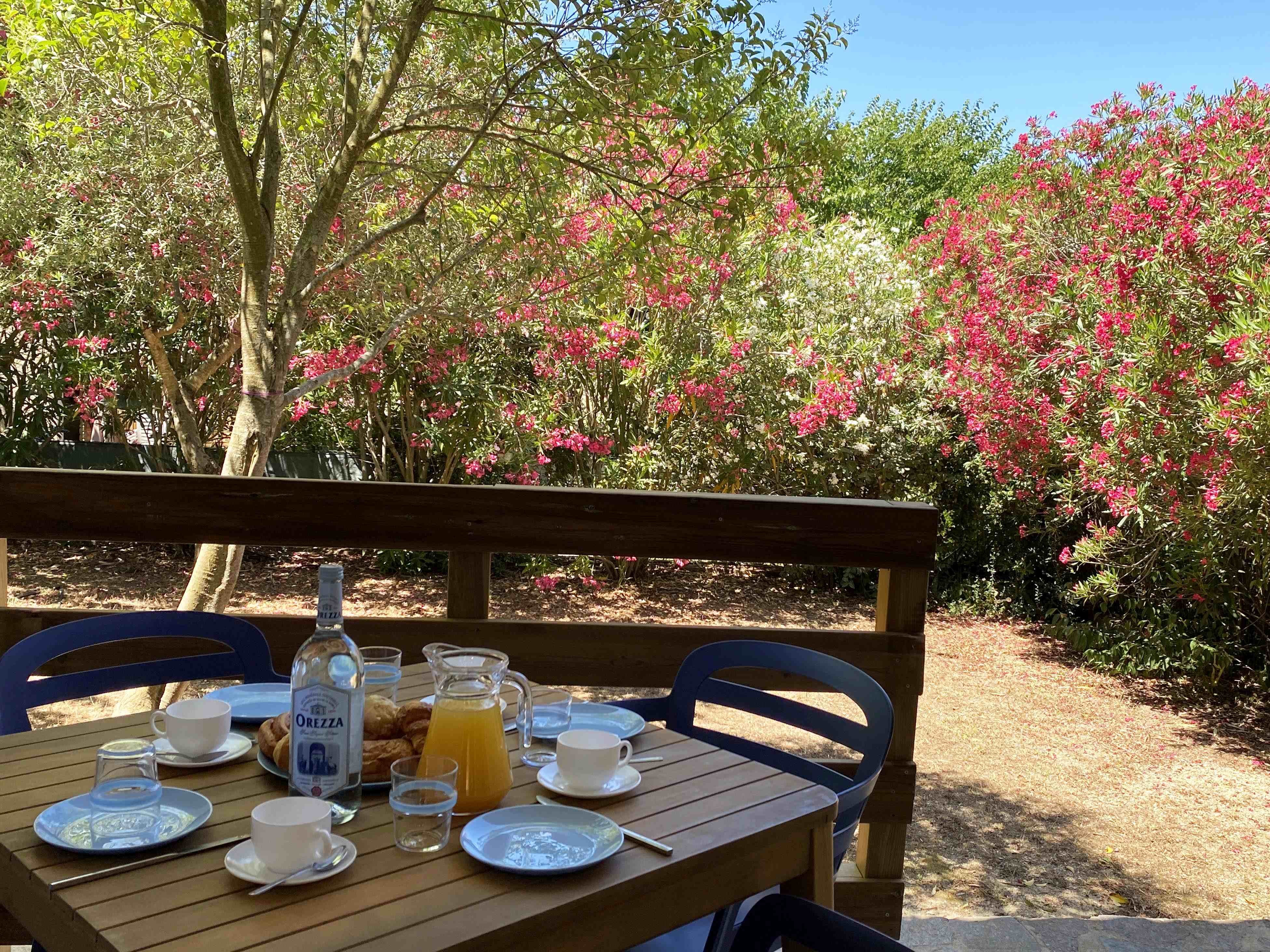 Photo n° 4 de la location