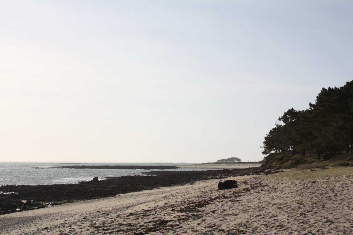 Plages  Pleine mer