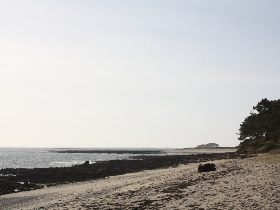 Plages  Pleine mer