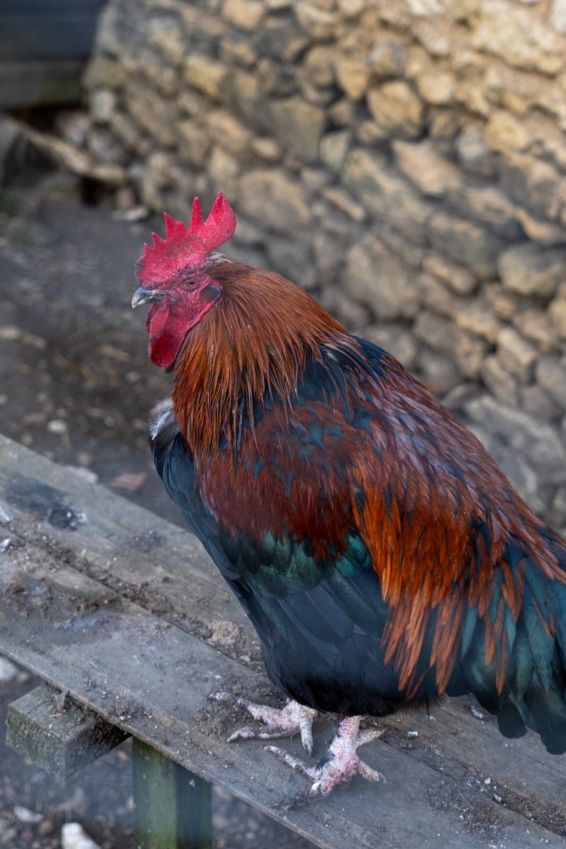 Photo n° 15 de la location