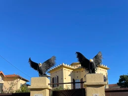 Entrée, Charmant studio, Promenade des Anglais, Nice Côte d'Azur