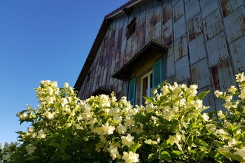 Photo n° 11 de la location