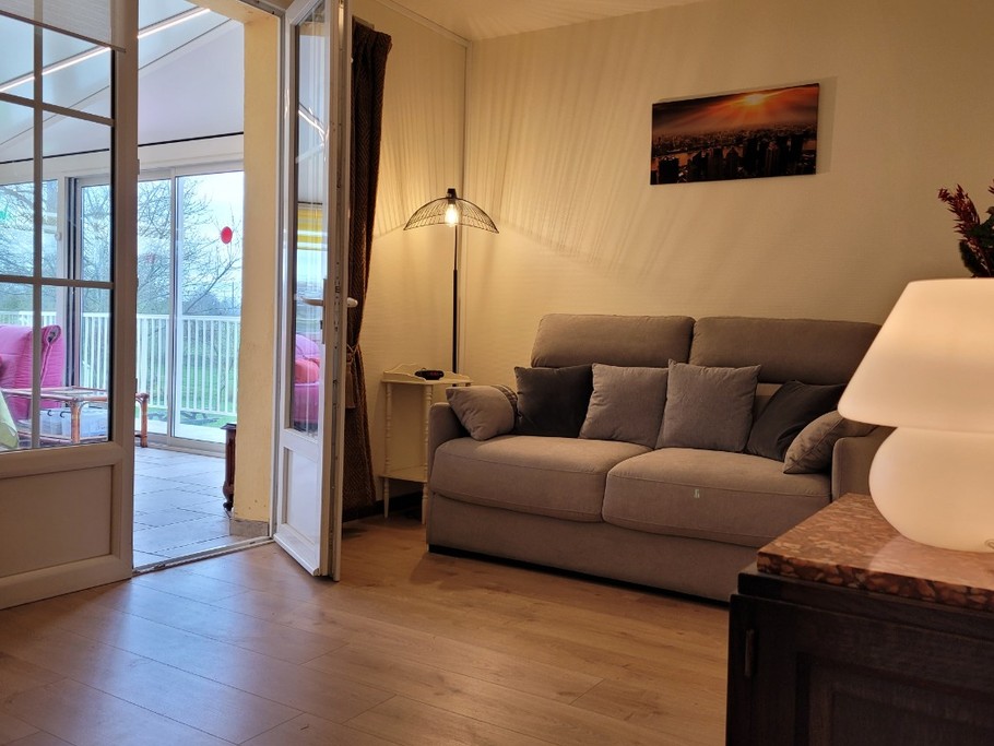 Salon avec canapé convertible en 140x190, bibliothèque