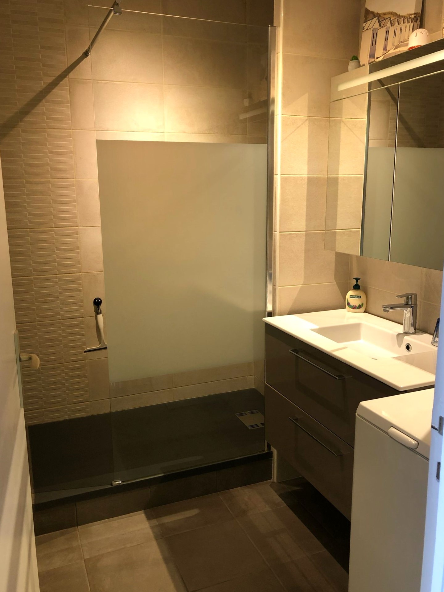 Salle d'eau avec douche grande dimension, meuble vasque, radiateur sèche serviette, lave-linge.