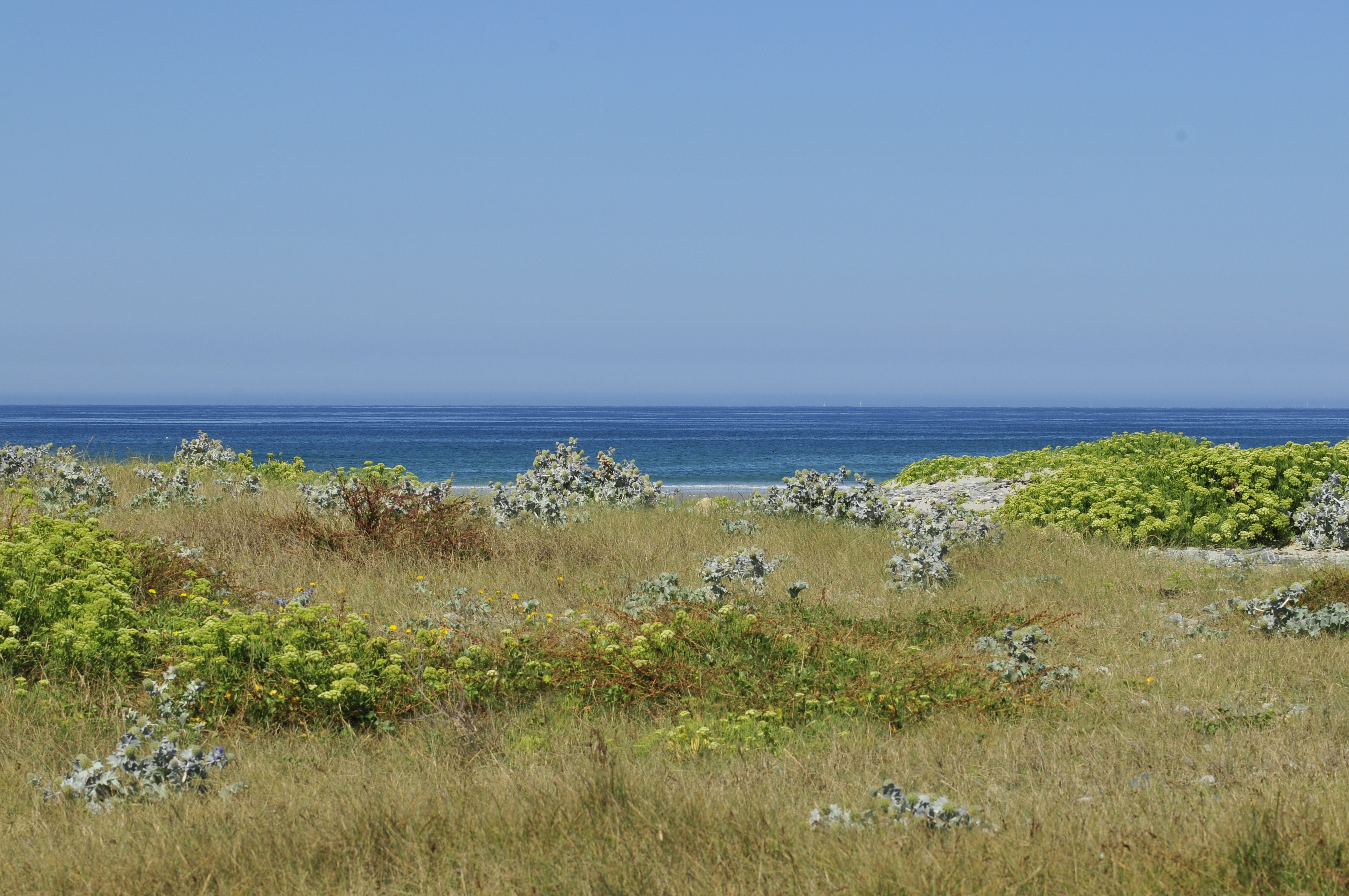 The dunes of Audierne Bay