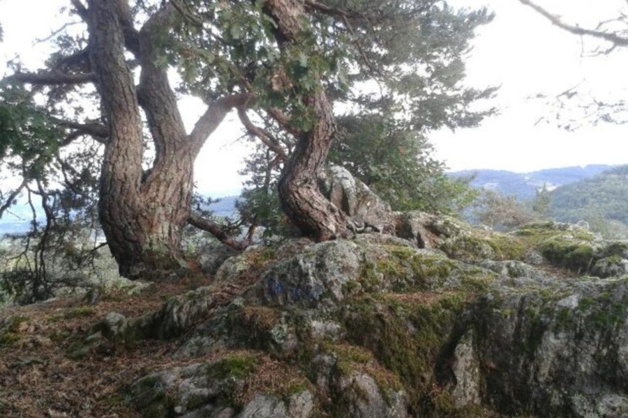 Photo n° 15 de la location