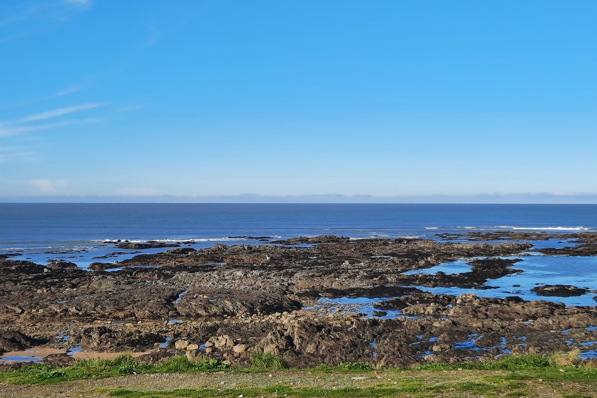 Pêche à pied à marée basse à l'Herbaudière