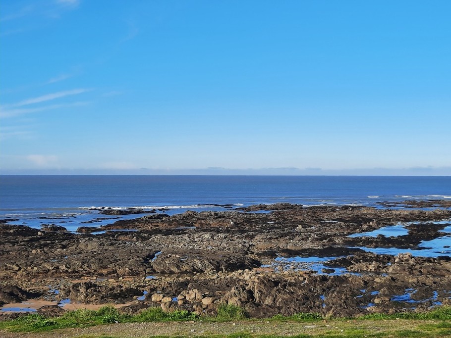 Pêche à pied à marée basse à l'Herbaudière