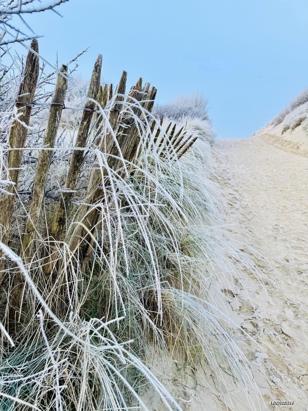 Photo n° 7 de la location