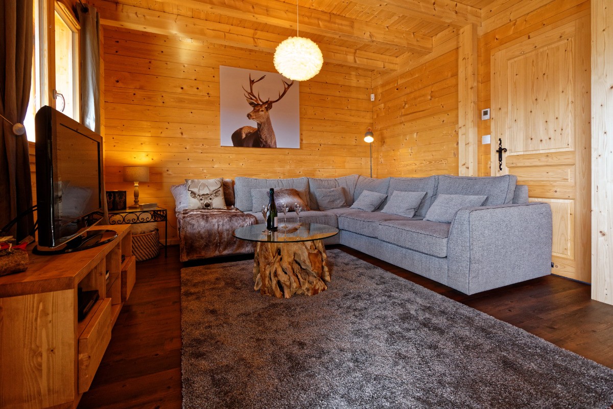 Vaste salon, espace télévision