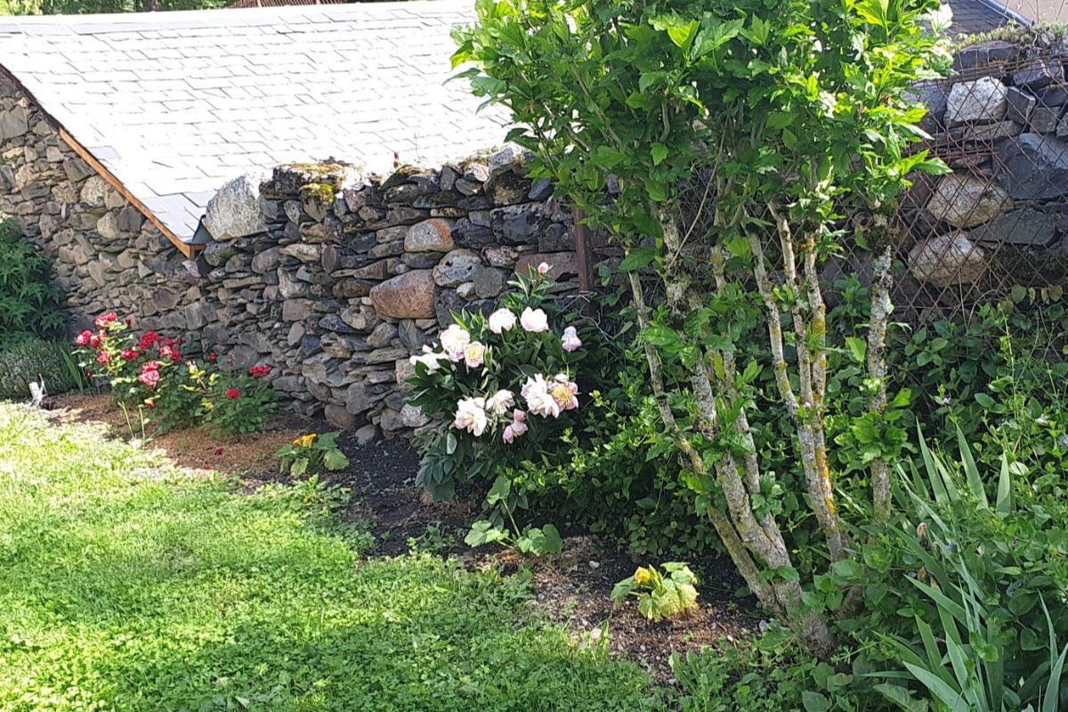 Fleurs de printemps