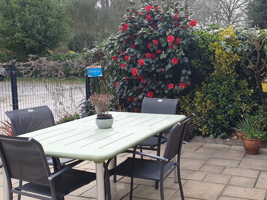 Photo n° 11 de la location