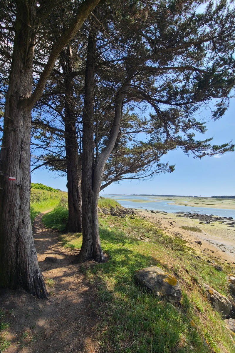 Sentier côtier randonnées départ de la maison