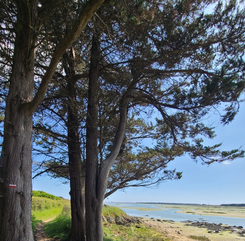 Sentier côtier randonnées départ de la maison