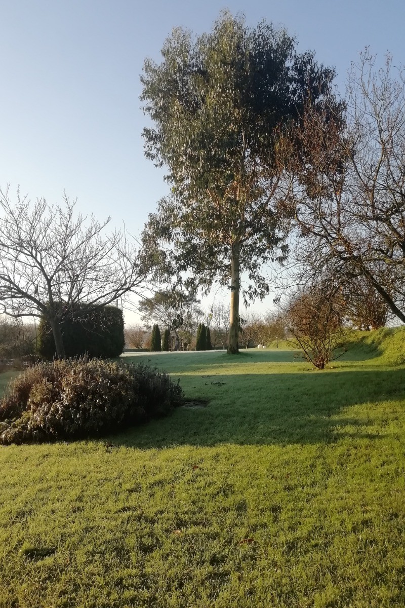 Photo n° 16 de la location