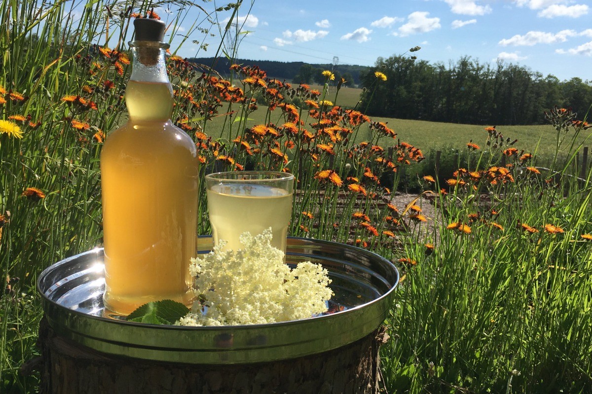 Taste of spring