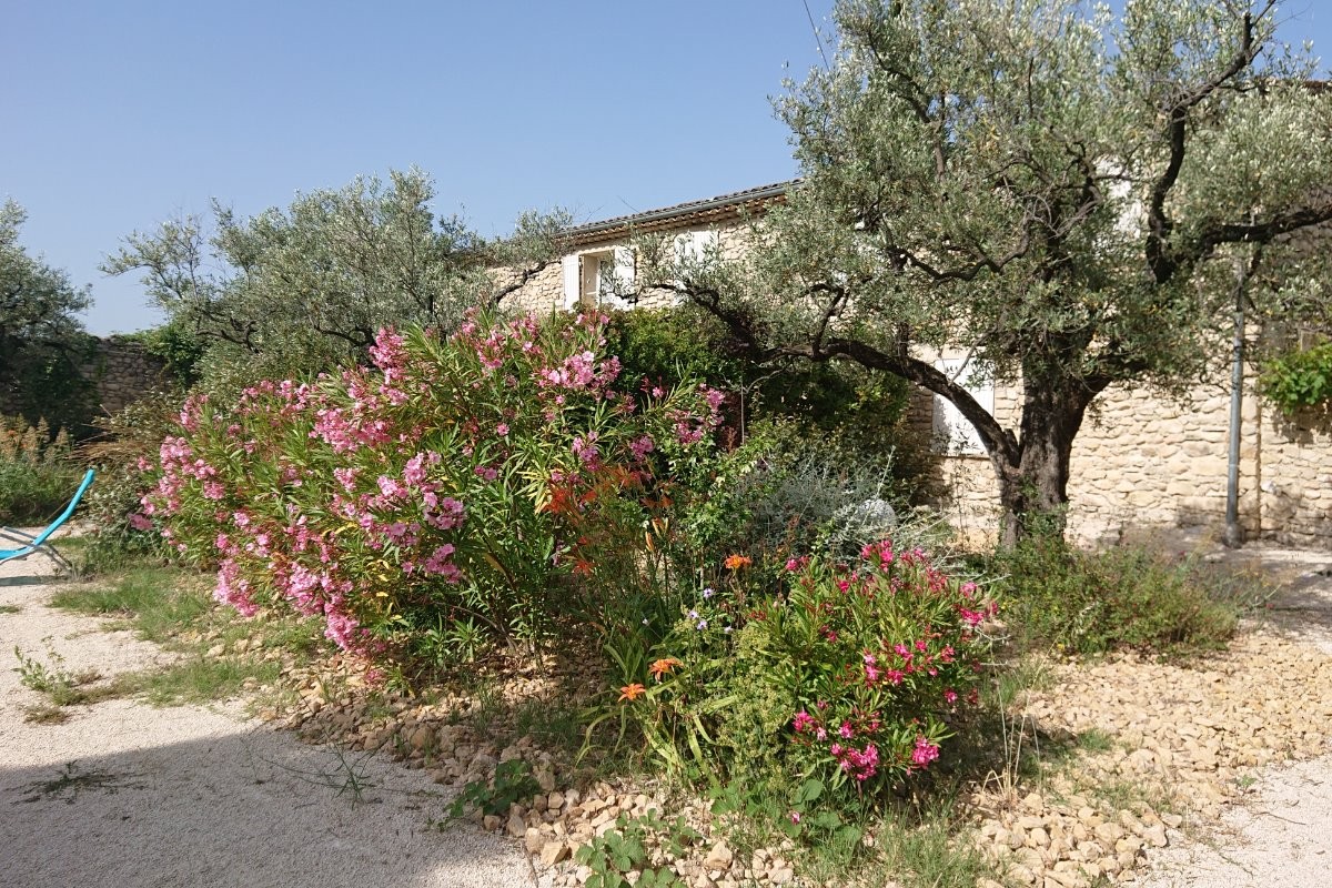 Domaine du Chêne Vert - Gîte La Bergerie - Les lauriers en fleur