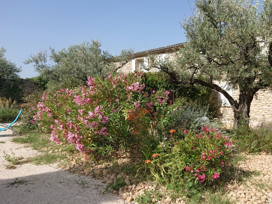 Domaine du Chêne Vert - Gîte La Bergerie - Les lauriers en fleur