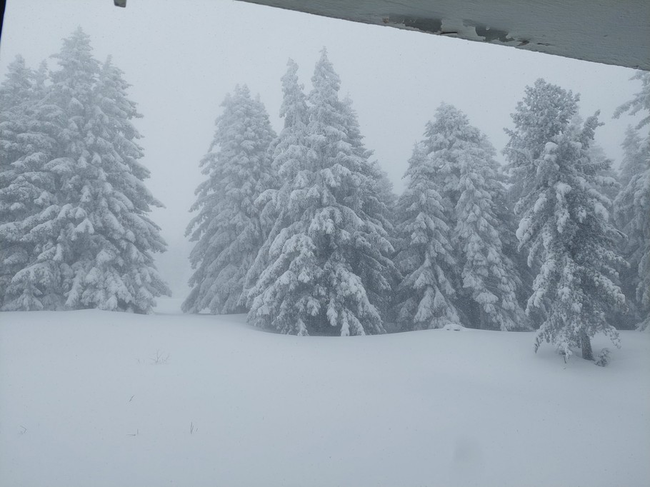 Photo n° 6 de la location