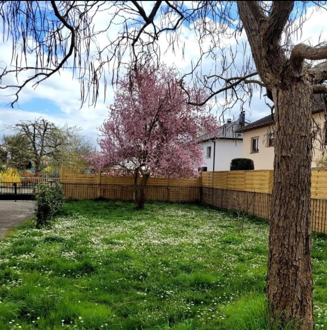 Photo n° 2 of the location