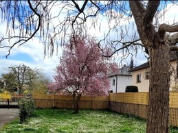 Image n° 2 de la location