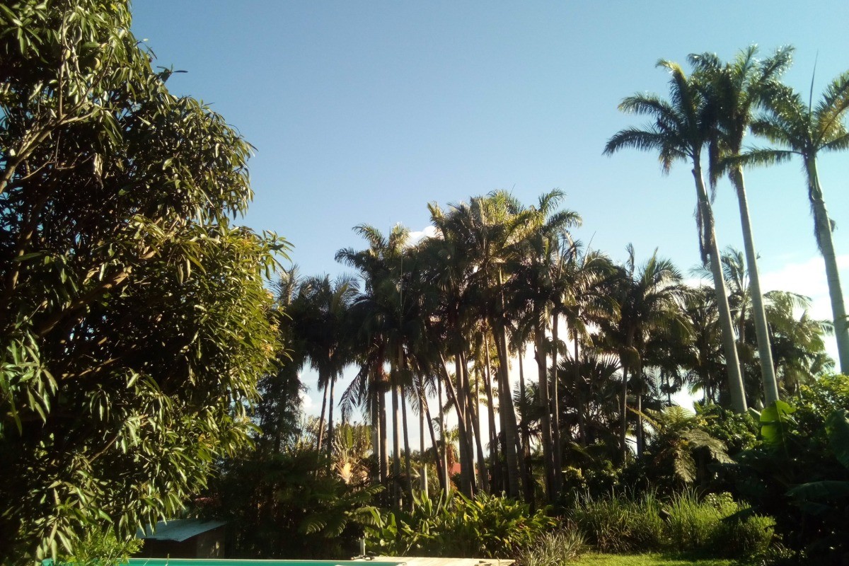 Photo n° 8 de la location
