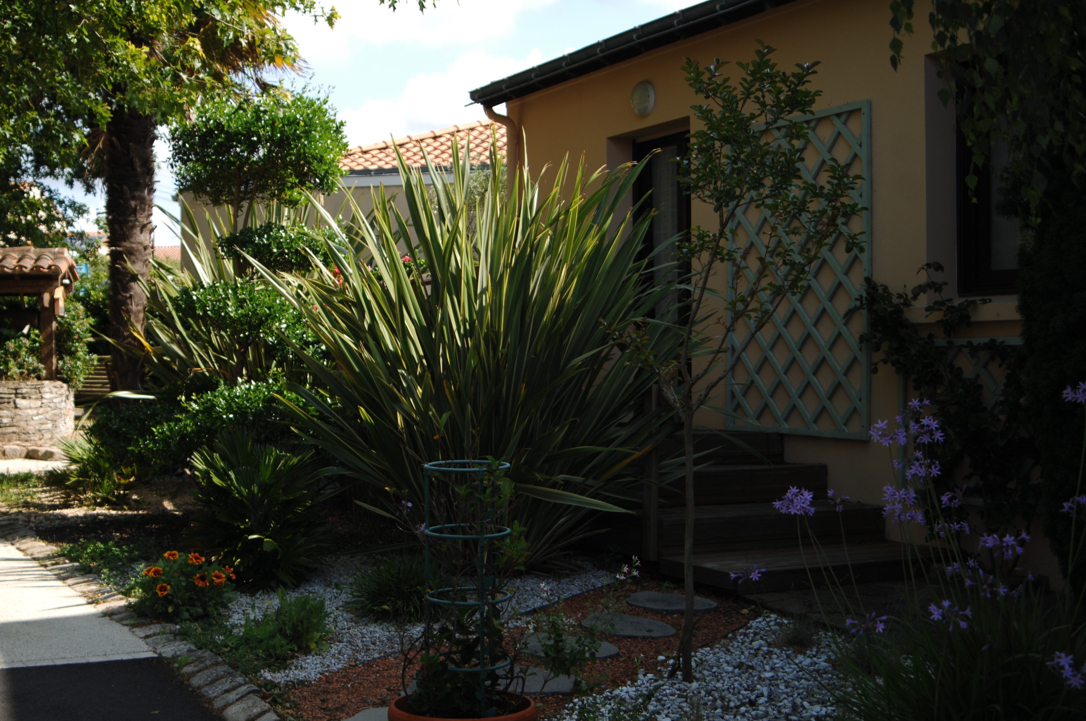 Photo n° 1 de la location