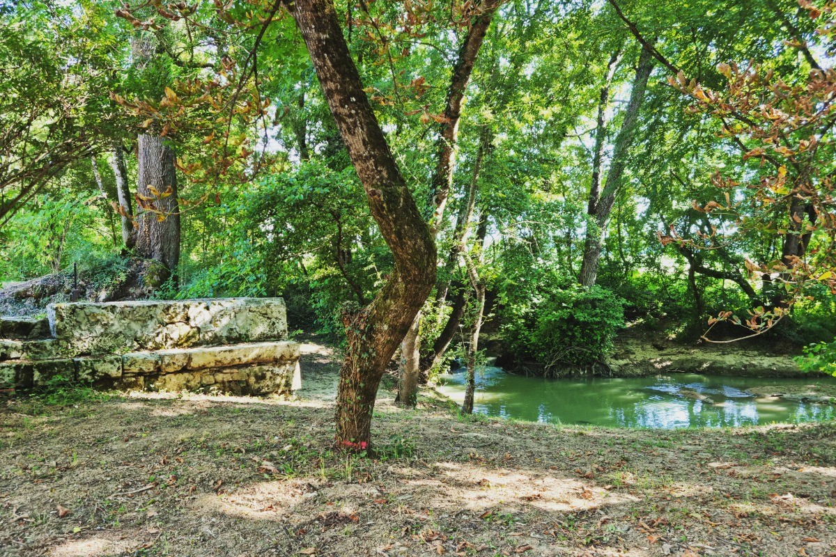Photo n° 6 de la location
