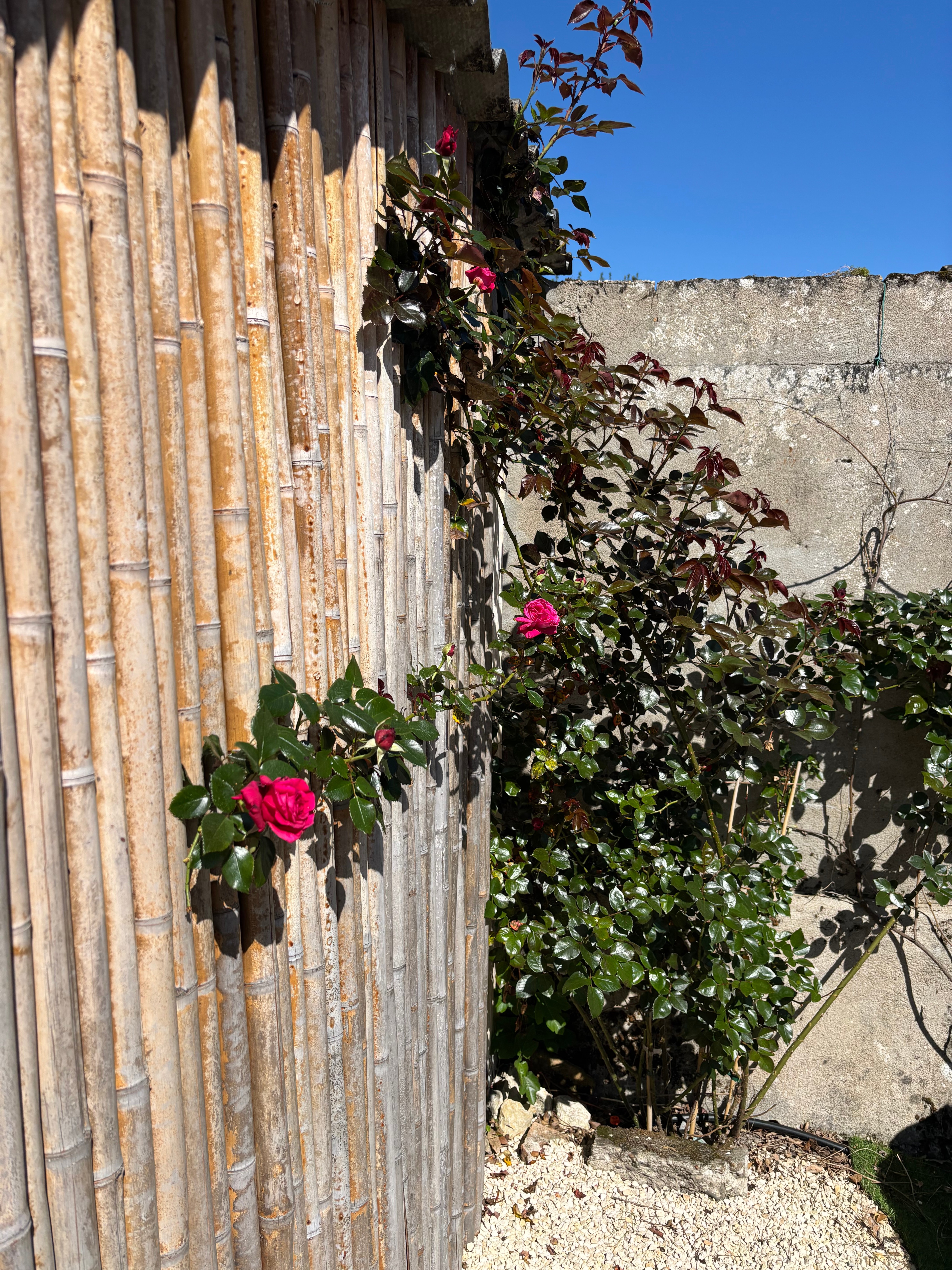 Maison de village avec spa - 4 personnes