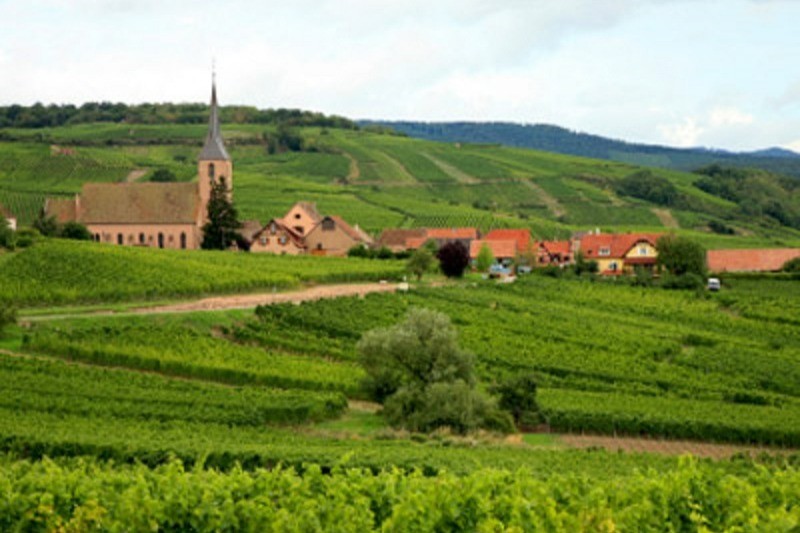 alsace