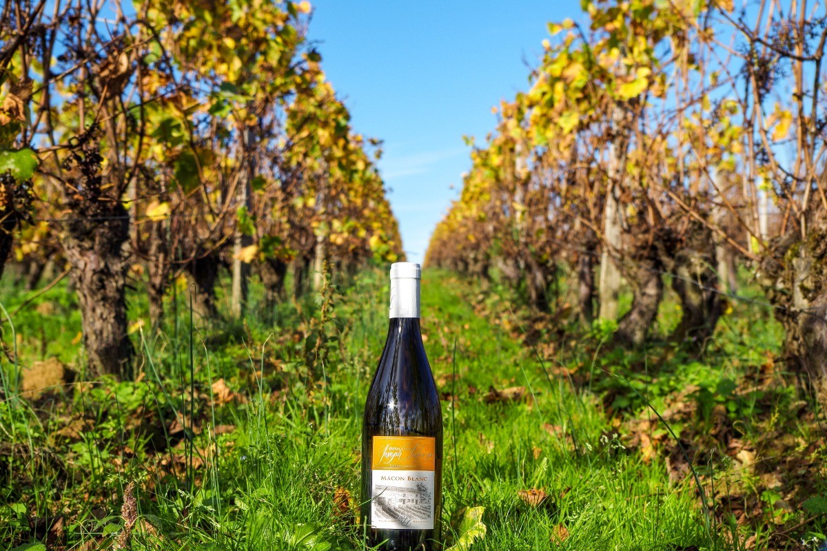 Photo n° 17 de la location