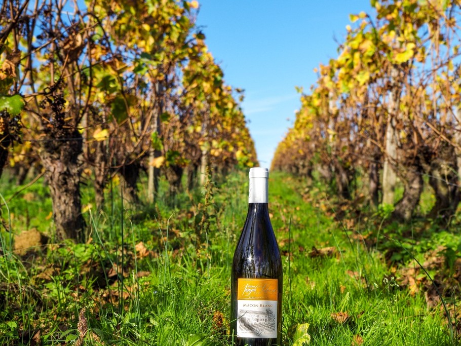 Photo n° 17 of the location