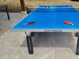 Ping pong table