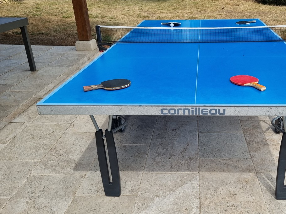 Ping pong table