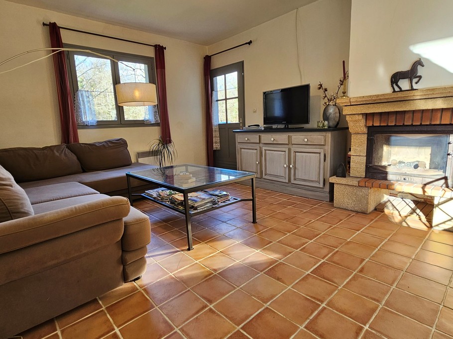 Côté salon avec l'insert et la télévision du gite Marcheroux à Amboise