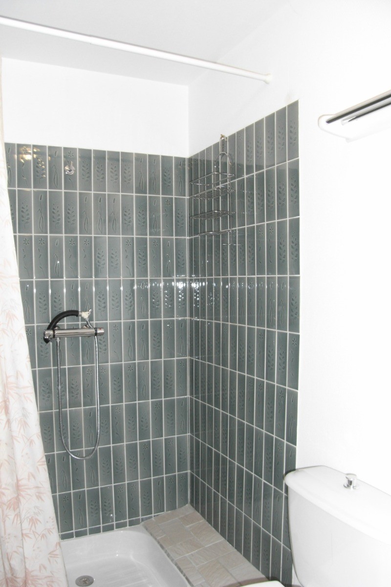 La salle d'eau avec WC