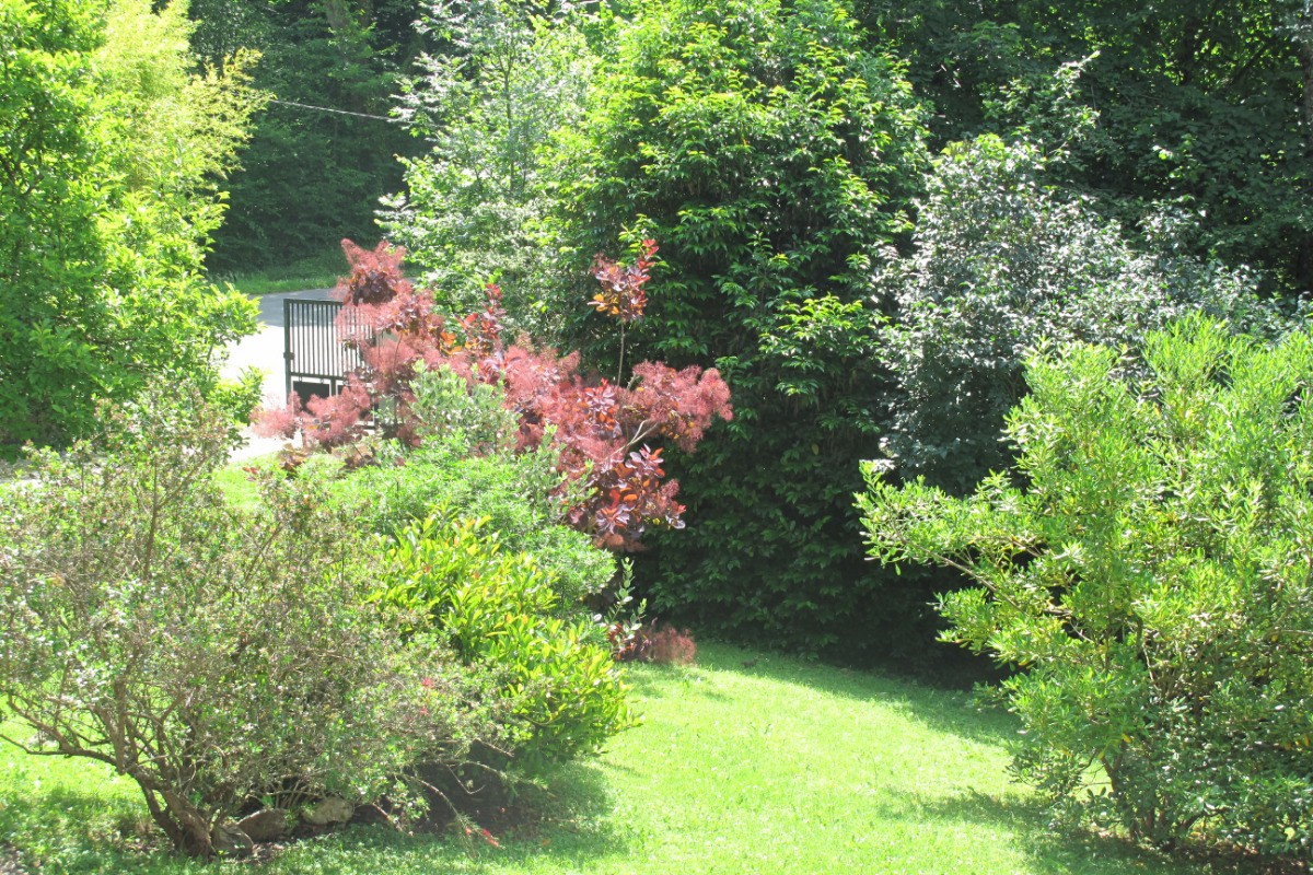 Vue du jardin