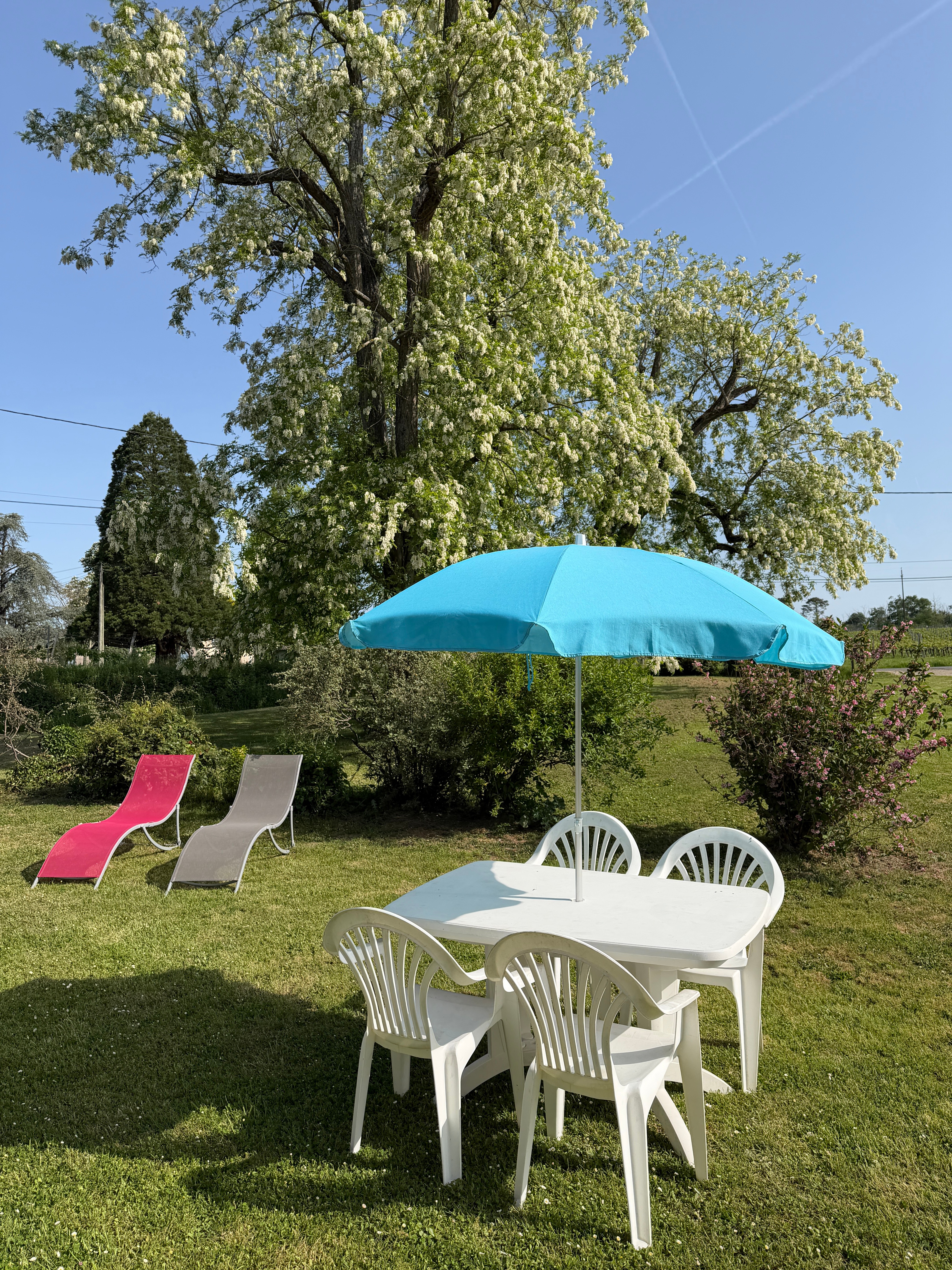 Photo n° 5 de la location