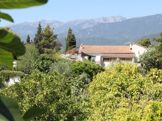 Maison vue du verger