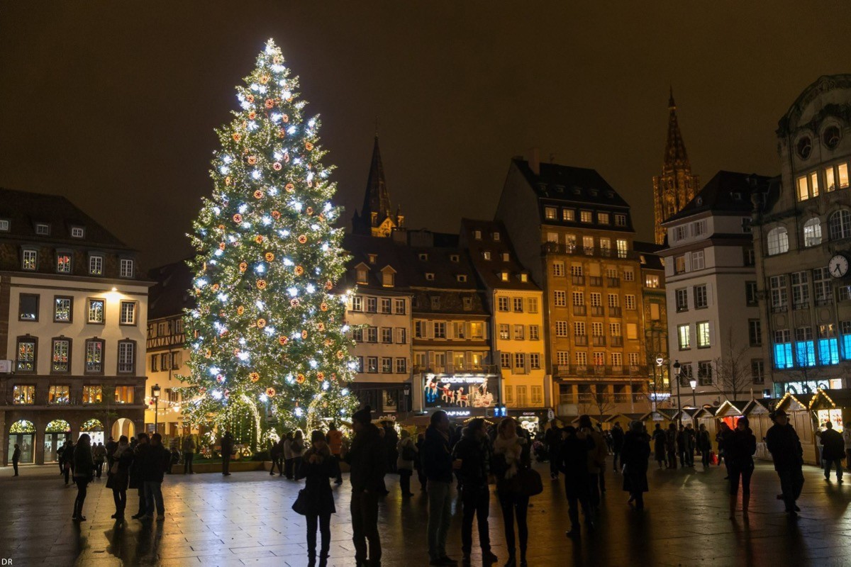 Sapin Strasbourg place Kleber