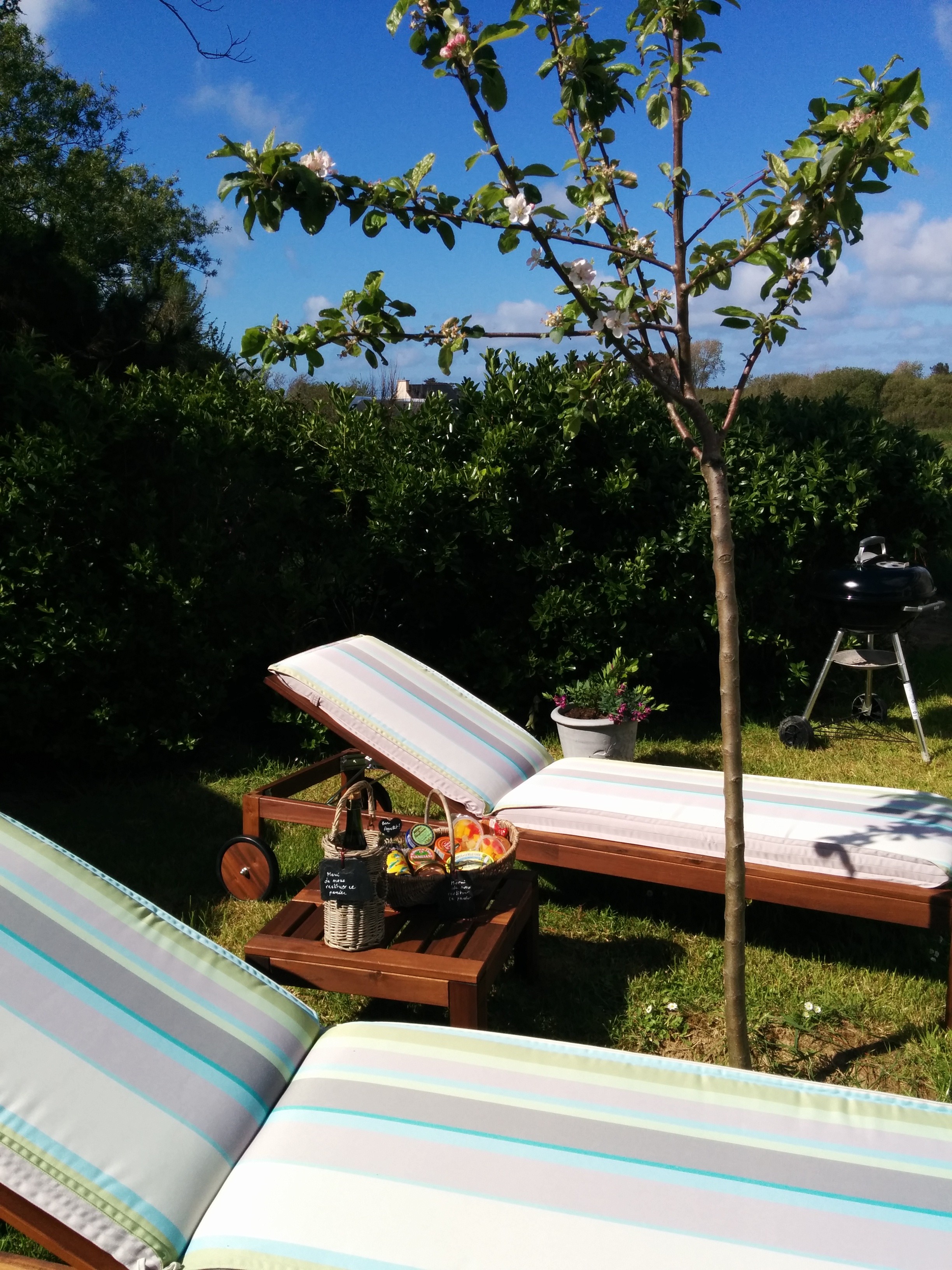 Farniente garantie sur ces bains de soleil avec ses matelas moelleux... Des pommes en saison ?? dans votre jardin privée