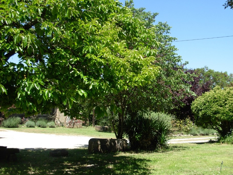 Photo n° 13 de la location