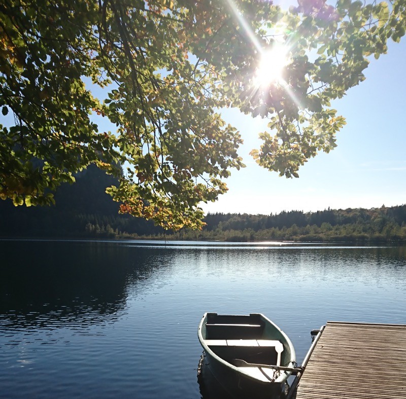 Photo n° 15 de la location