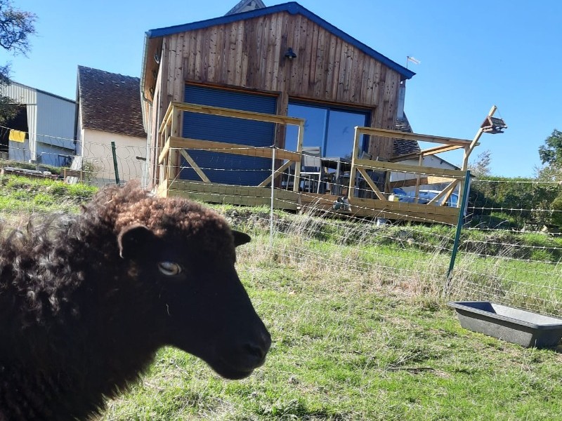 Les animaux comme moutons et chèvres sont à proximité