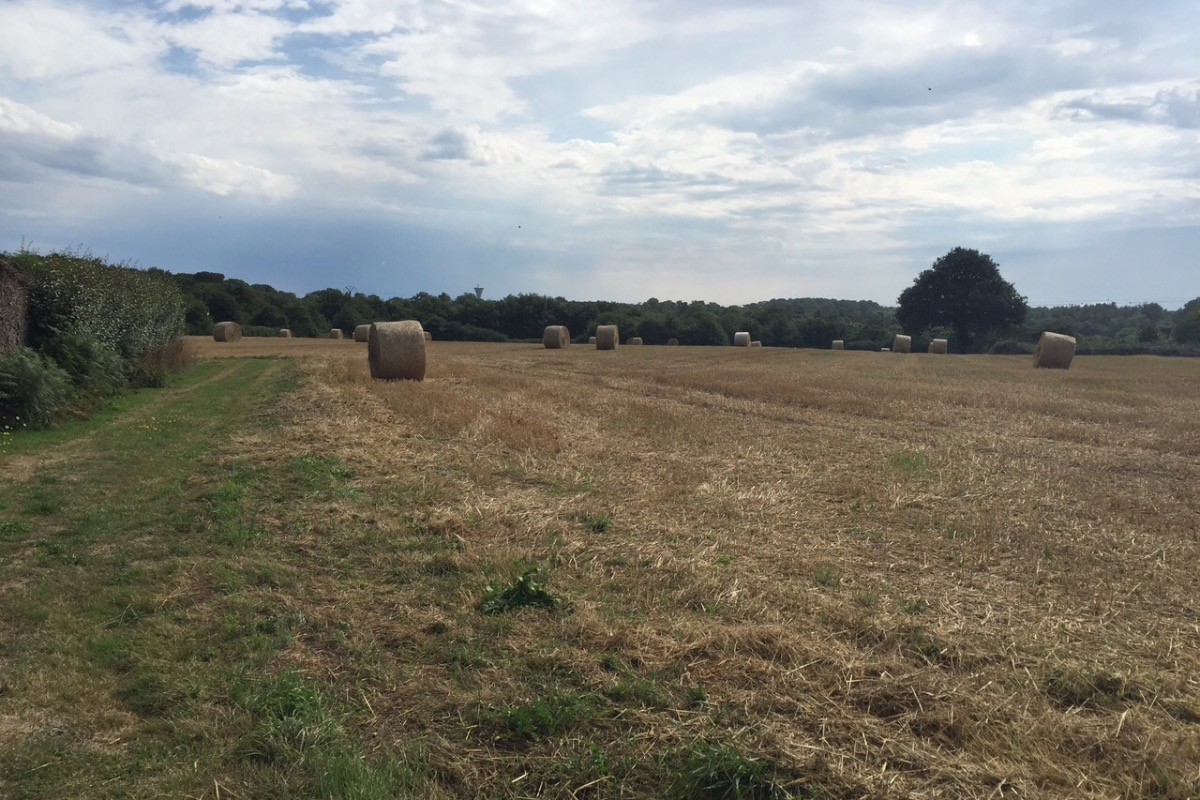 Photo n° 18 de la location